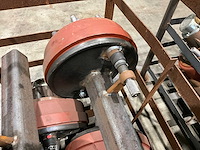 Fad geremde asstomp (4x) - afbeelding 3 van  5