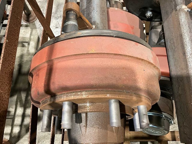 Fad geremde asstomp (4x) - afbeelding 4 van  5