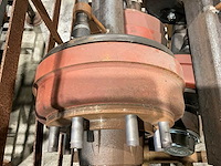 Fad geremde asstomp (4x) - afbeelding 4 van  5