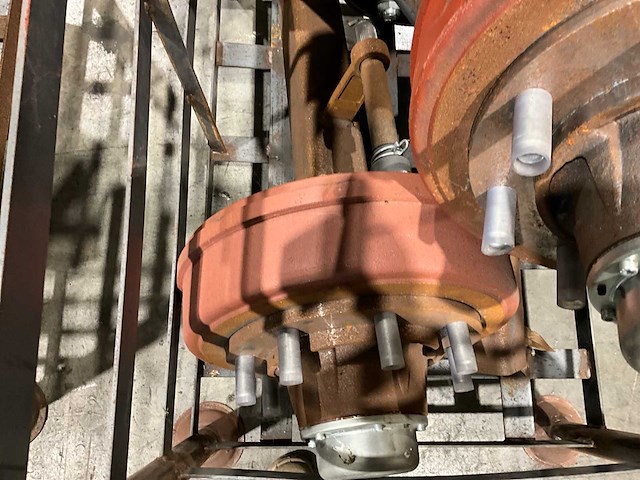 Fad geremde asstomp (4x) - afbeelding 4 van  4