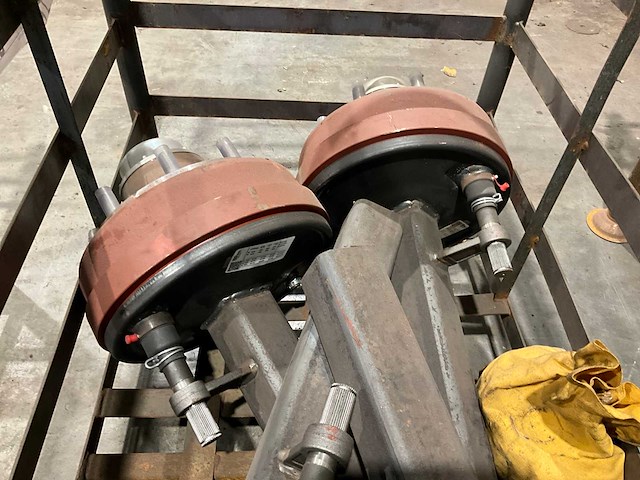 Fad geremde asstomp (4x) - afbeelding 3 van  3