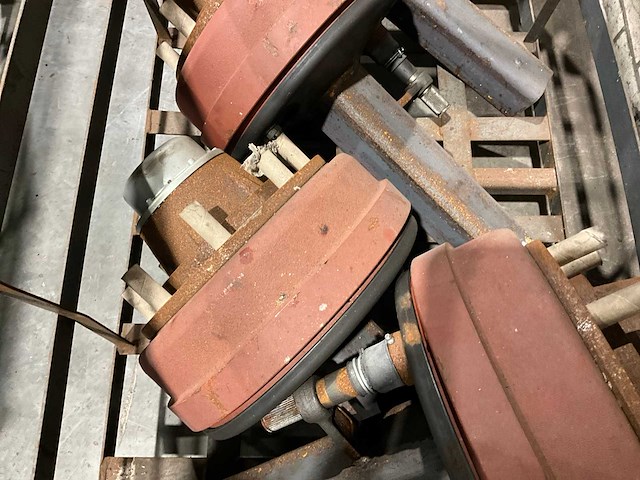 Fad geremde asstomp (4x) - afbeelding 4 van  5