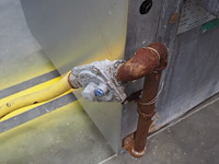 Falcon - afbeelding 2 van  11