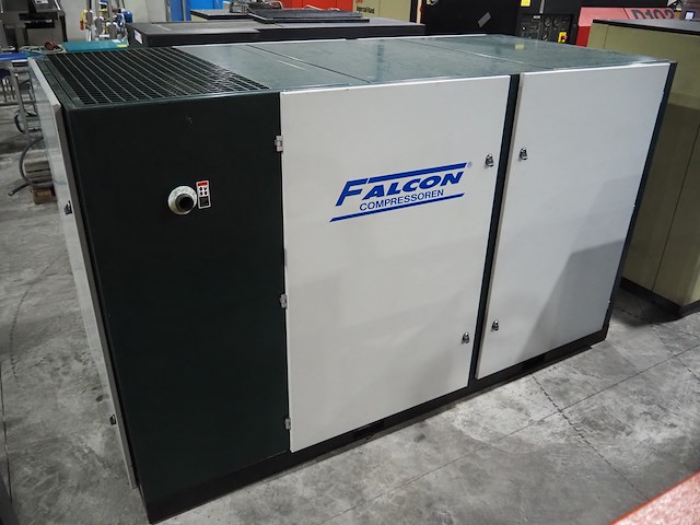 Falcon - afbeelding 3 van  10