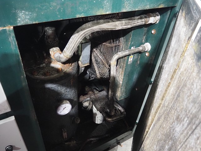 Falcon - afbeelding 7 van  10