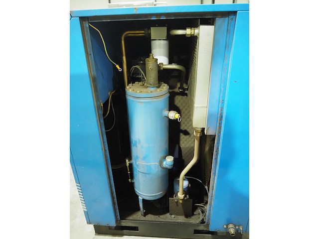 Falcon - afbeelding 6 van  7