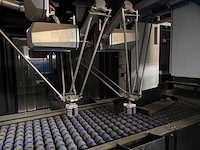 Famateq - - master picker fm-mp - gewas sorteer en verwerkingsmachine - afbeelding 9 van  28