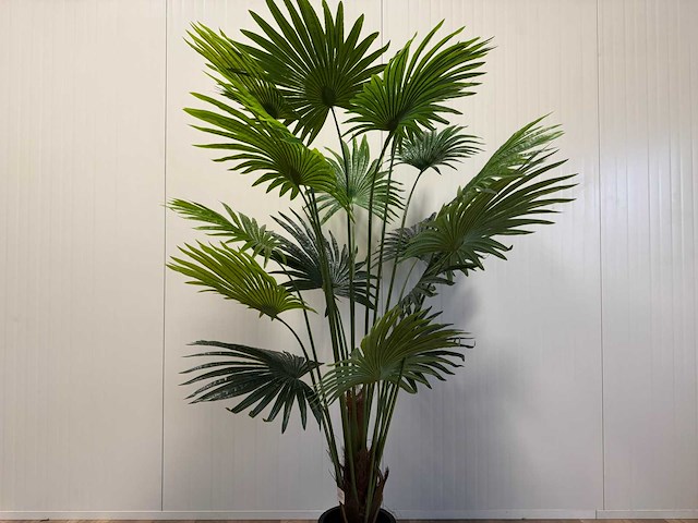 Fan palm kunstplant (180cm hoog) - afbeelding 7 van  15