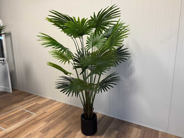 Fan palm kunstplant (180cm hoog) - afbeelding 9 van  15