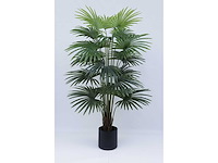 Fan palm kunstplant (180cm hoog) - afbeelding 2 van  2