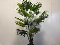 Fan palm kunstplant (180cm hoog) - afbeelding 12 van  12