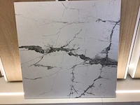 Fanal new ice white mat 75x75 cm tegel 23,63 m² - afbeelding 2 van  3
