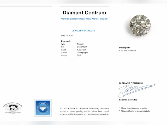 Fancy diamant 1.09 ct - afbeelding 4 van  4