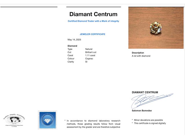 Fancy gekleurde diamant 1.11 carat - afbeelding 3 van  4