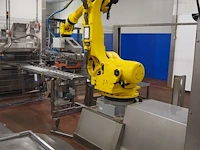 Fanuc ltd - afbeelding 29 van  31