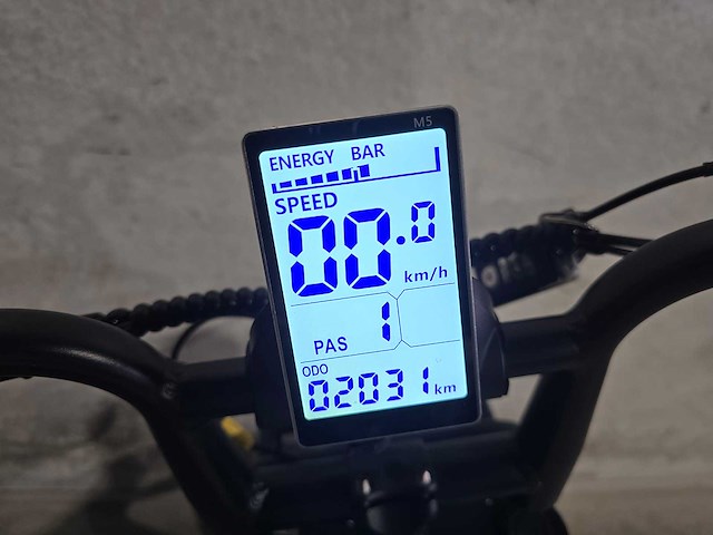 Fatbike - e- father - elektrische fiets 0965 - afbeelding 8 van  8