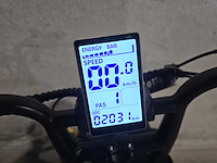 Fatbike - e- father - elektrische fiets 0965 - afbeelding 8 van  8