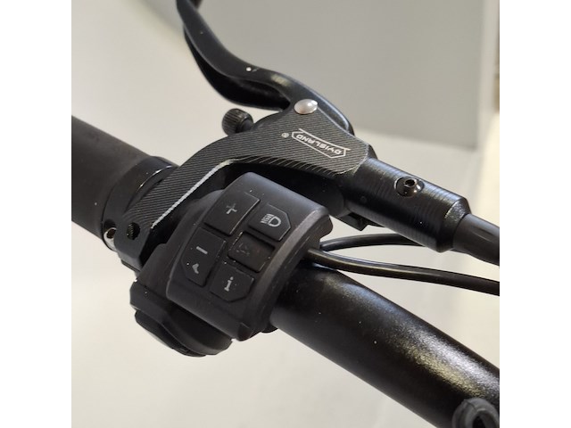 Fatbike, es master - afbeelding 11 van  12