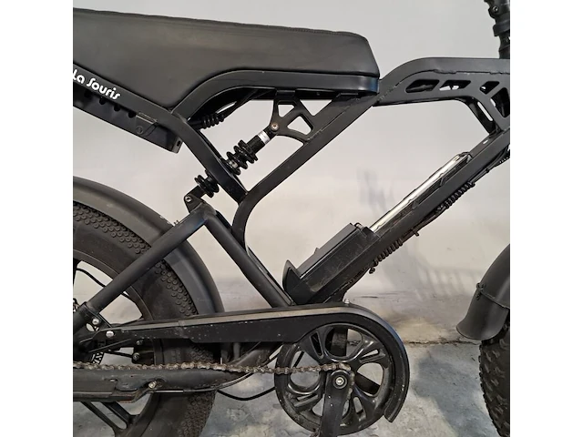 Fatbike, la souris, v20, 2024 - afbeelding 4 van  13