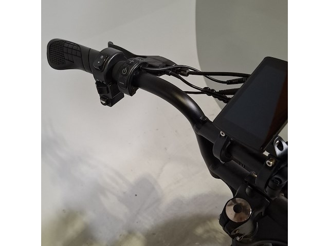 Fatbike, la souris, v20 - afbeelding 29 van  29