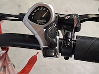 Fatbike, ouxi - afbeelding 14 van  14