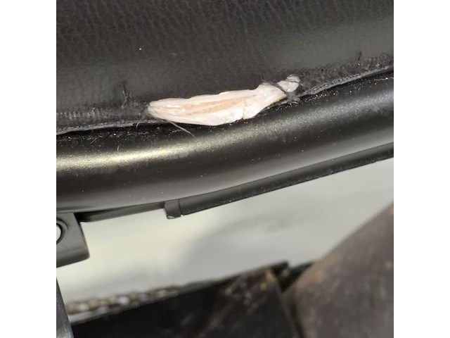 Fatbike, phatfour - afbeelding 9 van  17