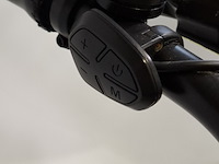 Fatbike, phatfour - afbeelding 14 van  15