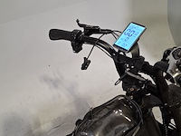 Fatbike - afbeelding 16 van  17