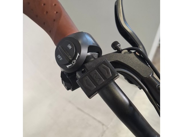 Fatbike - afbeelding 11 van  13