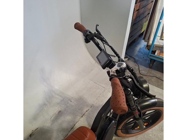 Fatbike - afbeelding 12 van  13