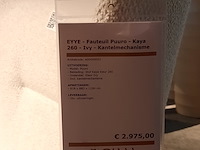 Fauteuil eyye, puuro - afbeelding 3 van  10