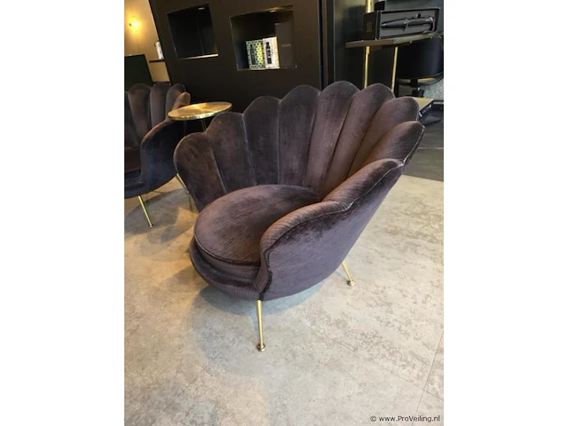 Fauteuil - afbeelding 2 van  4