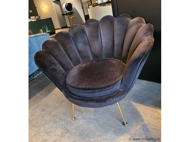 Fauteuil - afbeelding 4 van  6