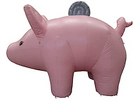 Feestvarken opblaasbaar - afbeelding 1 van  3