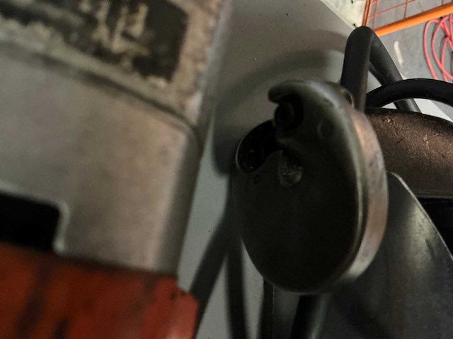 Fein knabbelschaar (3x) - afbeelding 7 van  9