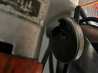 Fein knabbelschaar (3x) - afbeelding 7 van  9