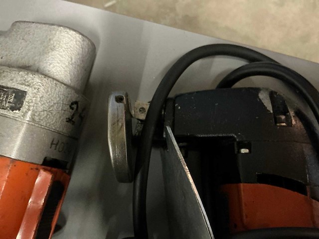 Fein knabbelschaar (3x) - afbeelding 8 van  9