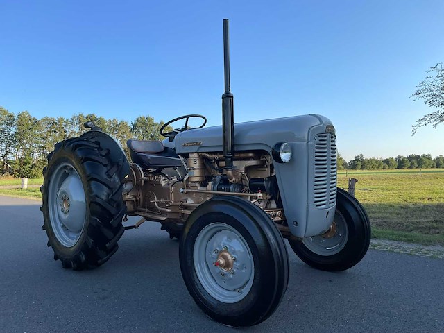 Ferguson 35 "goudbuik" oldtimer tractor - afbeelding 24 van  51