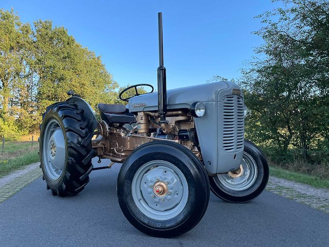 Ferguson 35 "goudbuik" oldtimer tractor - afbeelding 36 van  51