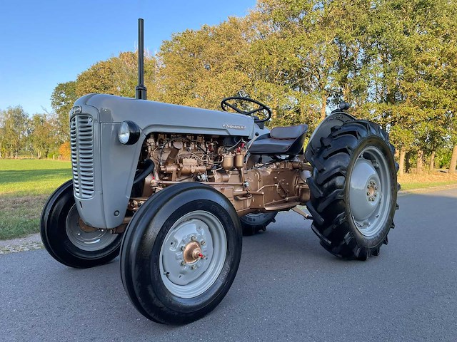 Ferguson 35 "goudbuik" oldtimer tractor - afbeelding 1 van  53