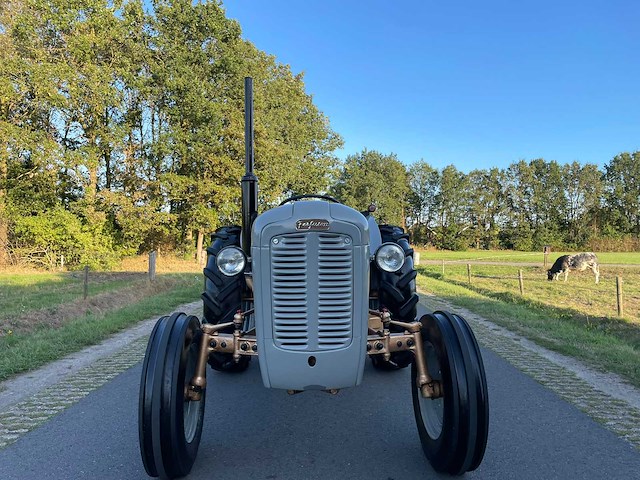 Ferguson 35 "goudbuik" oldtimer tractor - afbeelding 18 van  53