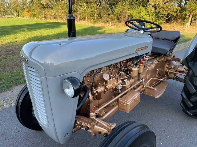 Ferguson 35 "goudbuik" oldtimer tractor - afbeelding 50 van  53