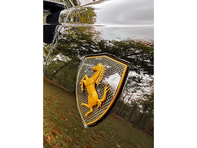 Ferrari - 812 - 6.5 v12 superfast. hele - g-631-hd - 2018 - afbeelding 19 van  20