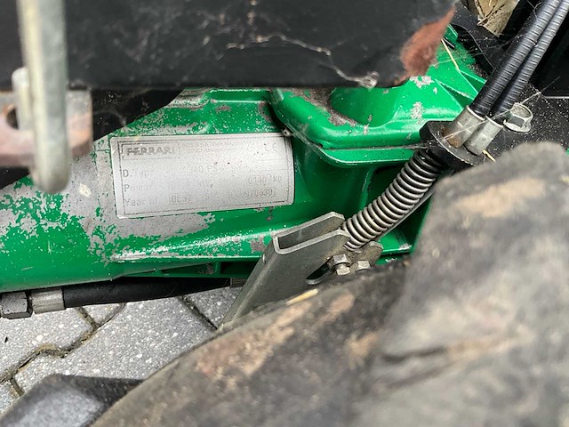Ferrari tuinfrees - afbeelding 3 van  7