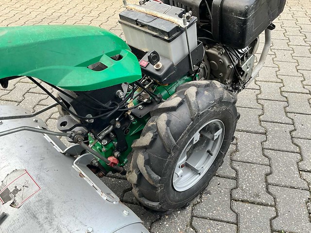 Ferrari tuinfrees - afbeelding 3 van  15