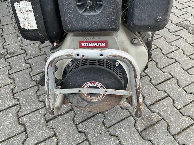 Ferrari tuinfrees - afbeelding 5 van  15