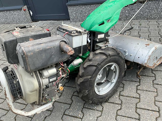 Ferrari tuinfrees - afbeelding 6 van  15