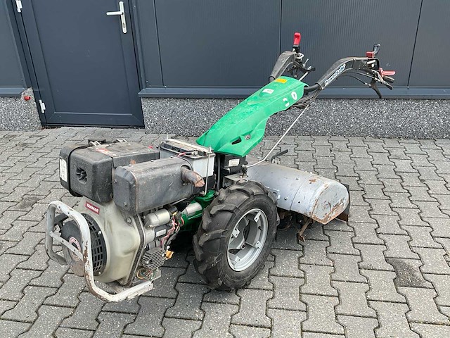 Ferrari tuinfrees - afbeelding 1 van  15