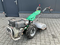 Ferrari tuinfrees - afbeelding 1 van  15