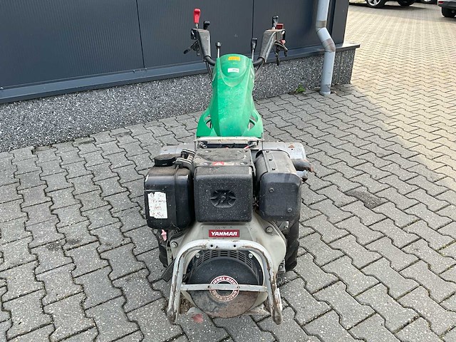 Ferrari tuinfrees - afbeelding 8 van  15